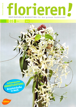 zum Magazin - bitte hier klicken